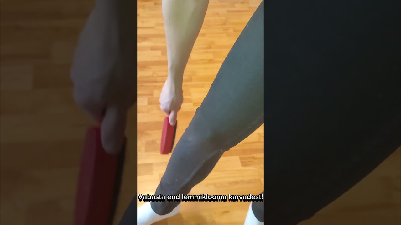 Eemalda karvad lihtsa vaevaga – GoGoNano kummist lemmikloomahari!