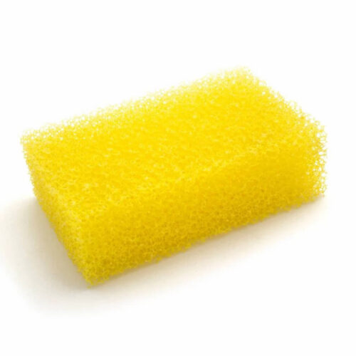 Bug removal sponge