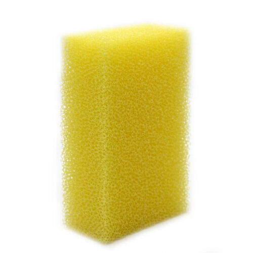 Bug Sponge for Insect Removal