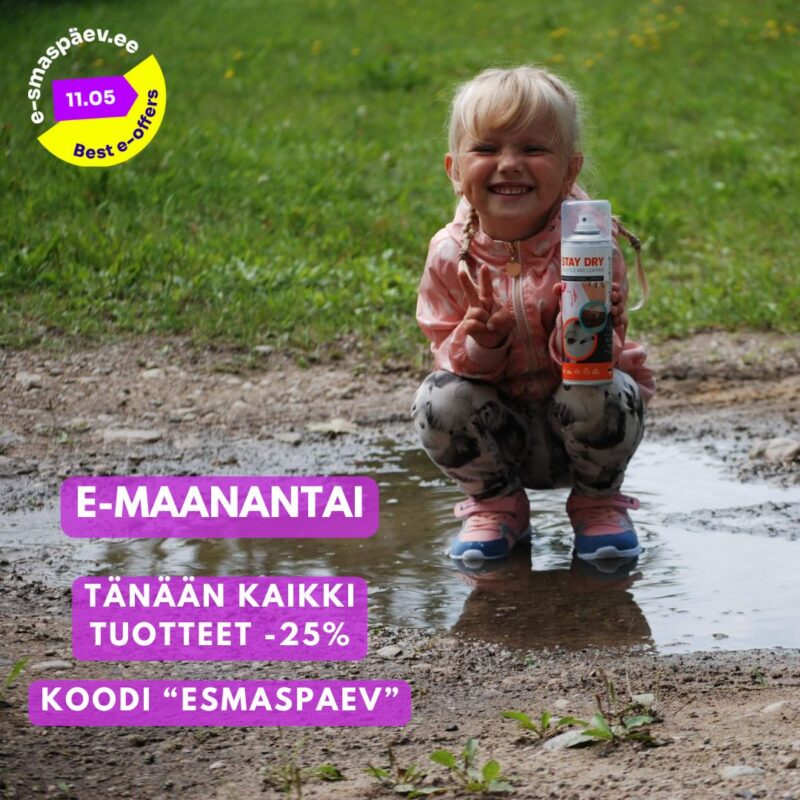 E smaspaev pilt template 6
